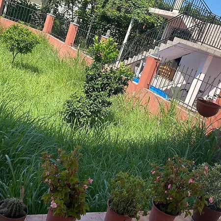 Lekaj *